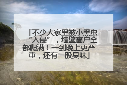 不少人家里被小黑虫“入侵”，墙壁窗户全部爬满！一到晚上更严重，还有一股臭味