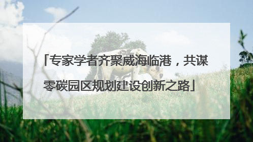 专家学者齐聚威海临港，共谋零碳园区规划建设创新之路