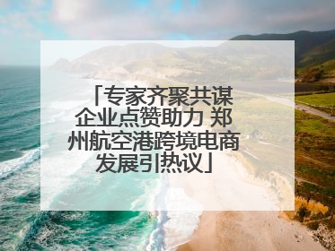 专家齐聚共谋 企业点赞助力 郑州航空港跨境电商发展引热议
