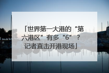 世界第一大港的“第六港区”有多“6”？记者直击开港现场
