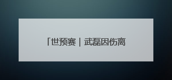 世预赛｜武磊因伤离开国足集训队，伊万不再补招顶替球员