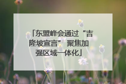 东盟峰会通过“吉隆坡宣言” 聚焦加强区域一体化