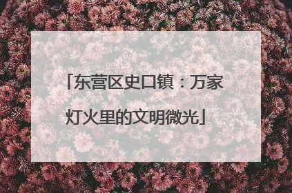 东营区史口镇：万家灯火里的文明微光