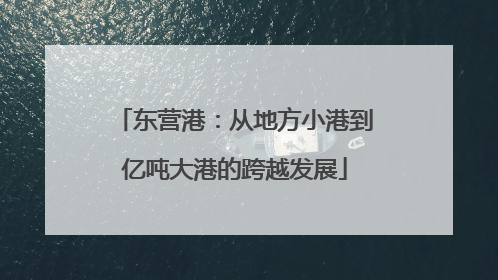 东营港：从地方小港到亿吨大港的跨越发展