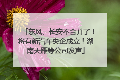 东风、长安不合并了！将有新汽车央企成立！湖南天雁等公司发声
