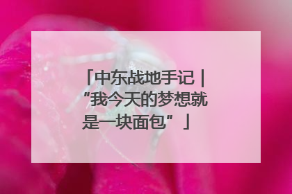 中东战地手记｜“我今天的梦想就是一块面包”