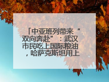 中亚班列带来“双向奔赴”：武汉市民吃上国际粮油，哈萨克斯坦用上鄂产光电屏