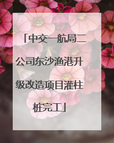 中交一航局二公司东沙渔港升级改造项目灌柱桩完工