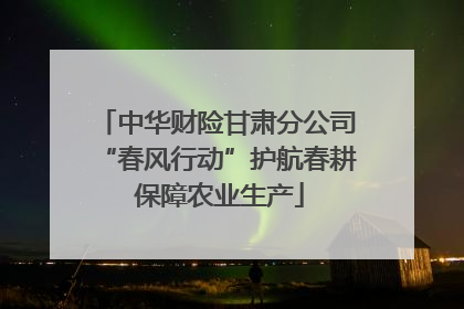 中华财险甘肃分公司“春风行动”护航春耕 保障农业生产