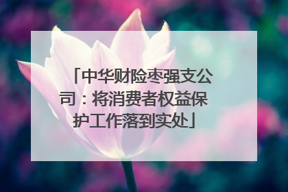 中华财险枣强支公司：将消费者权益保护工作落到实处