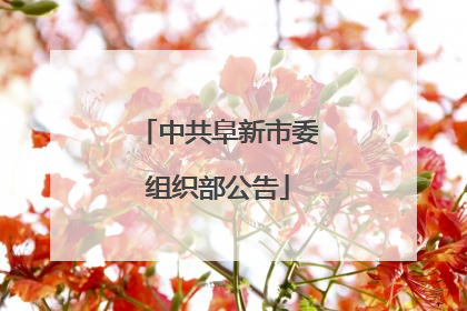 中共阜新市委组织部公告