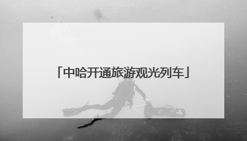 中哈开通旅游观光列车