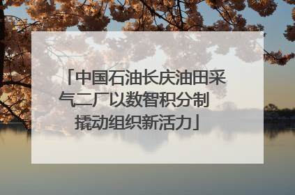 中国石油长庆油田采气二厂以数智积分制 撬动组织新活力