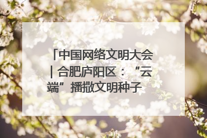 中国网络文明大会｜合肥庐阳区：“云端”播撒文明种子 共建清朗网络空间