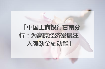 中国工商银行甘南分行：为高原经济发展注入强劲金融动能
