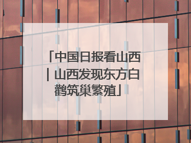 中国日报看山西｜山西发现东方白鹳筑巢繁殖