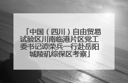 中国（四川）自由贸易试验区川南临港片区党工委书记谭荣兵一行赴岳阳城陵矶综保区考察