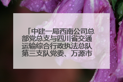 中建一局西南公司总部党总支与四川省交通运输综合行政执法总队第三支队党委、万源市草坝镇莲花院村党支部开展党建联建