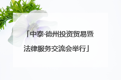 中泰·德州投资贸易暨法律服务交流会举行