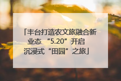 丰台打造农文旅融合新业态 “5.20”开启沉浸式“田园”之旅