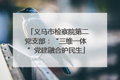 义马市检察院第二党支部：“三维一体”党建融合护民生
