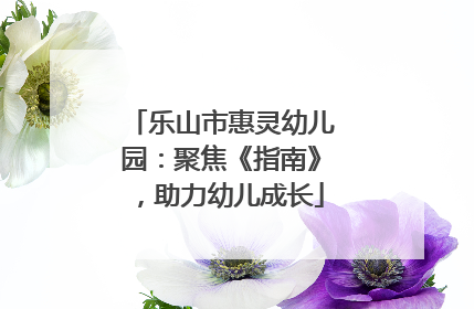 乐山市惠灵幼儿园：聚焦《指南》，助力幼儿成长