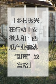 乡村振兴在行动丨安徽太和：西瓜产业铺就“甜蜜”致富路