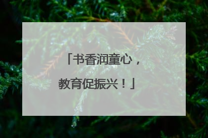 书香润童心，教育促振兴！