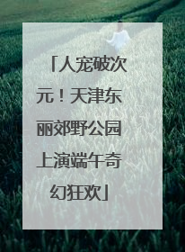 人宠破次元！天津东丽郊野公园上演端午奇幻狂欢