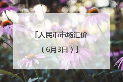 人民币市场汇价（6月3日）