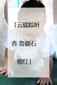 云端粽叶香 鲁疆石榴红