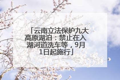 云南立法保护九大高原湖泊：禁止在入湖河道洗车等，9月1日起施行