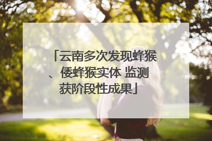 云南多次发现蜂猴、倭蜂猴实体 监测获阶段性成果
