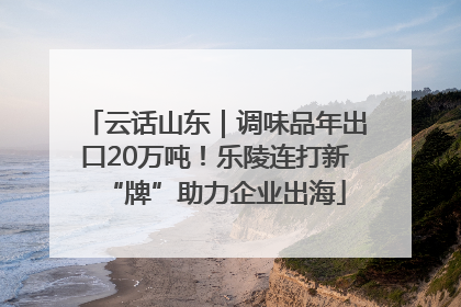 云话山东｜调味品年出口20万吨！乐陵连打新“牌”助力企业出海