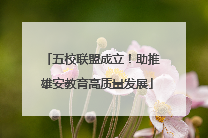 五校联盟成立！助推雄安教育高质量发展