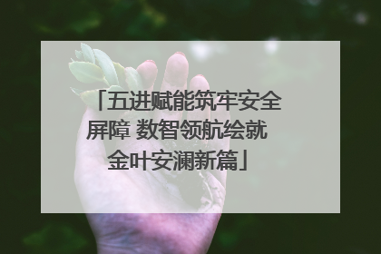 五进赋能筑牢安全屏障 数智领航绘就金叶安澜新篇