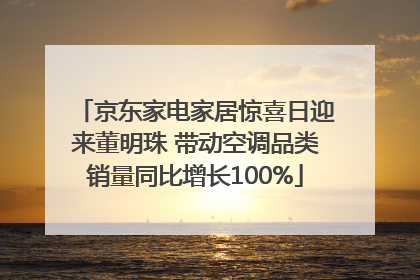 京东家电家居惊喜日迎来董明珠 带动空调品类销量同比增长100%