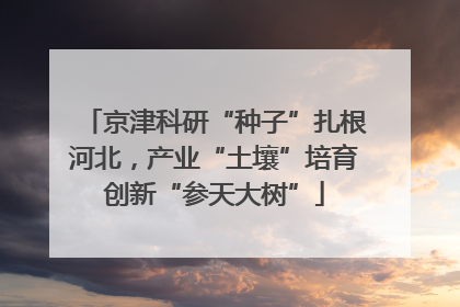 京津科研“种子”扎根河北，产业“土壤”培育创新“参天大树”