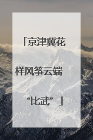 京津冀花样风筝云端“比武”