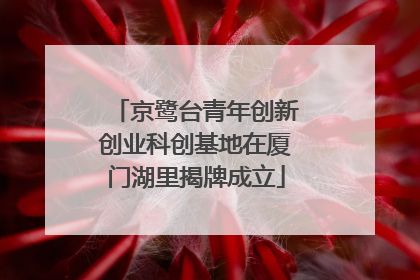 京鹭台青年创新创业科创基地在厦门湖里揭牌成立
