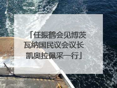 任振鹤会见博茨瓦纳国民议会议长凯奥拉佩采一行