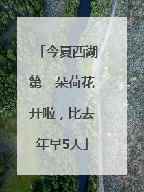 今夏西湖第一朵荷花开啦，比去年早5天