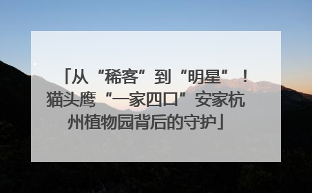 从“稀客”到“明星”！猫头鹰“一家四口”安家杭州植物园背后的守护