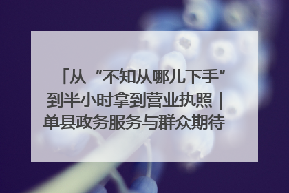 从“不知从哪儿下手”到半小时拿到营业执照｜单县政务服务与群众期待的“双向奔赴”