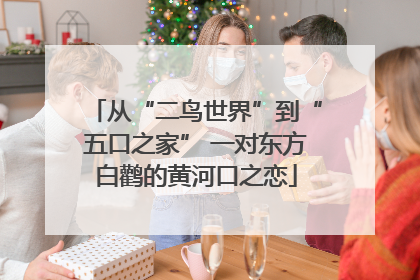 从“二鸟世界”到“五口之家” 一对东方白鹳的黄河口之恋