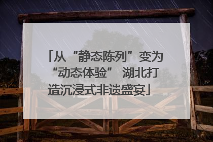 从“静态陈列”变为“动态体验” 湖北打造沉浸式非遗盛宴