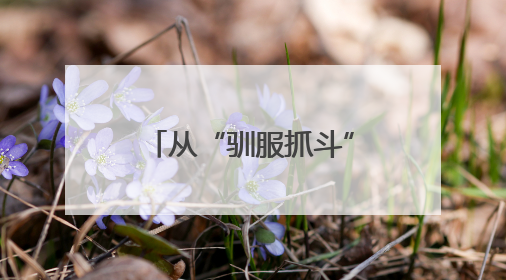 从“驯服抓斗”到带出9徒弟：赵树青的精准操作，托起同江口岸千万吨过货量