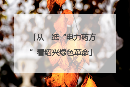 从一纸“电力药方”看绍兴绿色革命