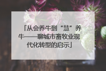 从会养牛到“慧”养牛——聊城市畜牧业现代化转型的启示