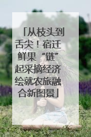 从枝头到舌尖！宿迁鲜果“链”起采摘经济绘就农旅融合新图景